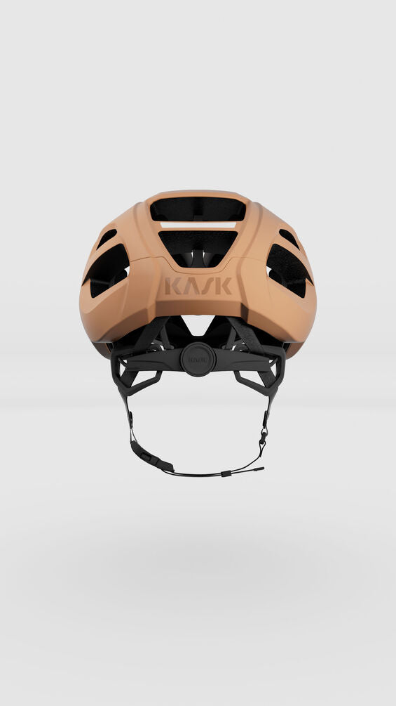 KASK Protone Icon Helmet WG11