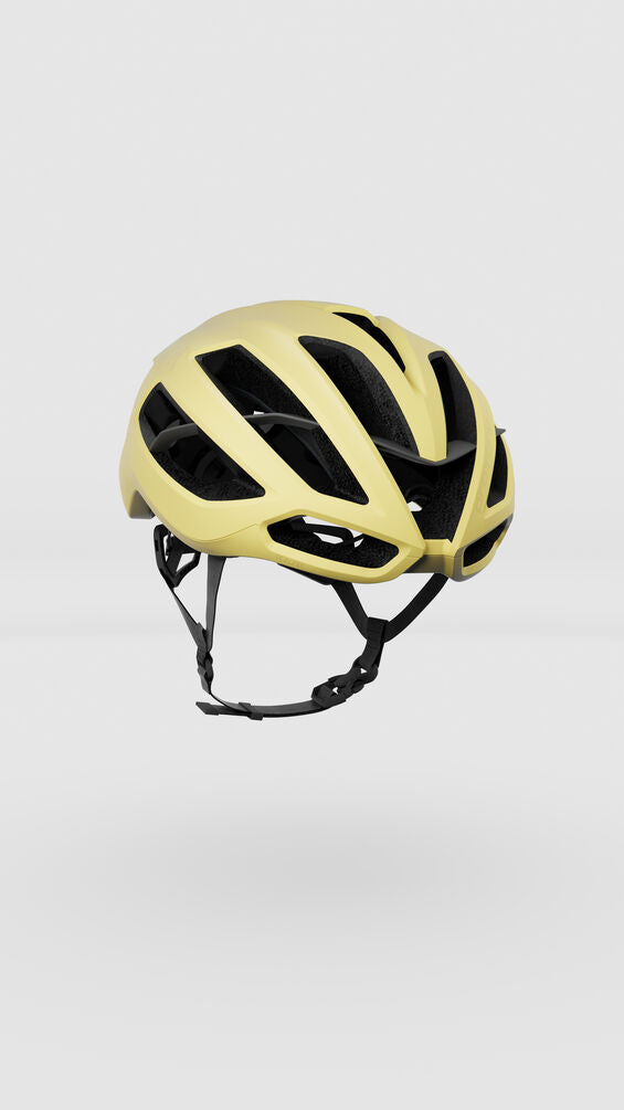 KASK Protone Icon Helmet WG11