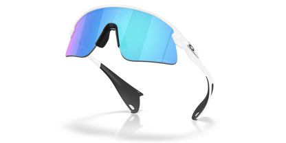 Oakley Stunt Devil Sunglasses